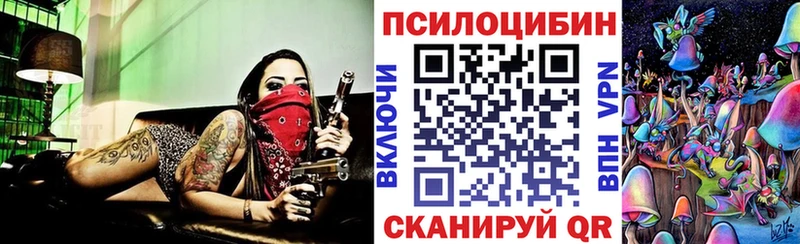 Галлюциногенные грибы Cubensis Санкт-Петербург
